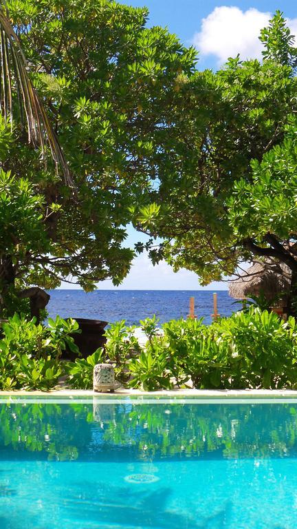 Green Lodge Moorea Temae Exteriör bild